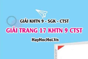 Giải KHTN 9 trang 17 Chân trời sáng tạo SGK